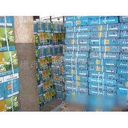 浙江加盟牌批發(fā)與供應(yīng)市場分析