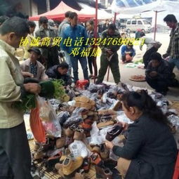 協誠商貿 深圳寶安區松崗的專業新奇特產品批發貿易伙伴